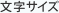 文字サイズ