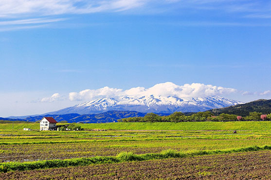 駐車場に転用可能な農地