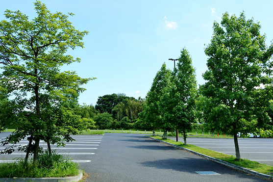 スーパーの開放型駐車場