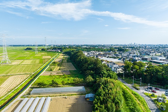 農地と住宅街の航空写真