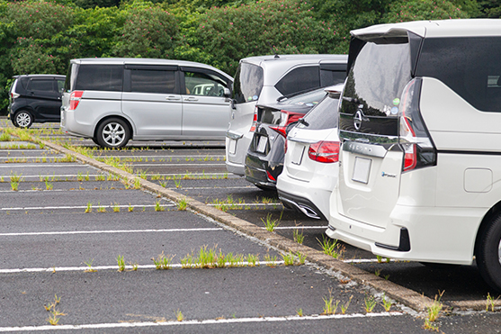 雑草の生えた駐車場